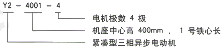 YR系列(H355-1000)高压YJTFKK4505-2三相异步电机西安西玛电机型号说明